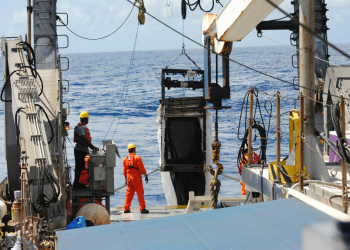 What 82% of maritime professionals think about crew training